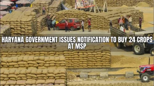 Haryana Government Issues Notification to Buy 24 Crops at MSP Haryana Government Issues Notification to Buy 24 Crops at MSP