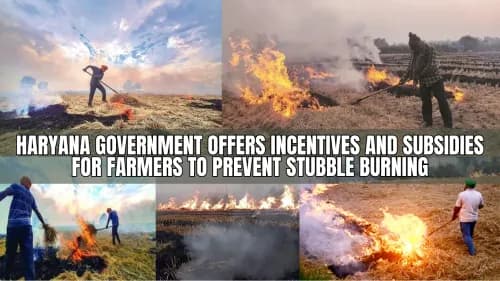 Haryana Government Offers Incentives and Subsidies for Farmers to Prevent Stubble Burning Haryana Government Offers Incentives and Subsidies for Farmers to Prevent Stubble Burning