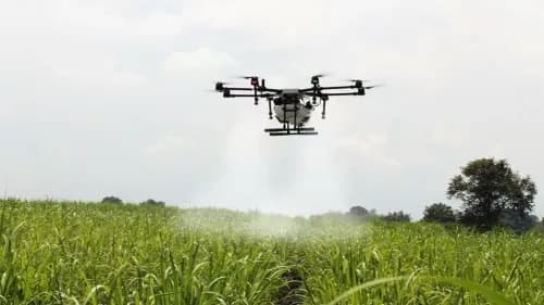 ICAR and World Bank Partner to Revolutionize Agricultural Education ICAR and World Bank Partner to Revolutionize Agricultural Education