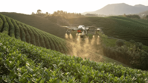 ITU & FAO Workshop to Address Crucial Role of IoT and AI in Agriculture ITU & FAO Workshop to Address Crucial Role of IoT and AI in Agriculture
