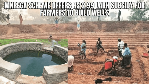 MNREGA Scheme Offers Rs 2.99 Lakh Subsidy for Farmers to Build Wells MNREGA Scheme Offers Rs 2.99 Lakh Subsidy for Farmers to Build Wells