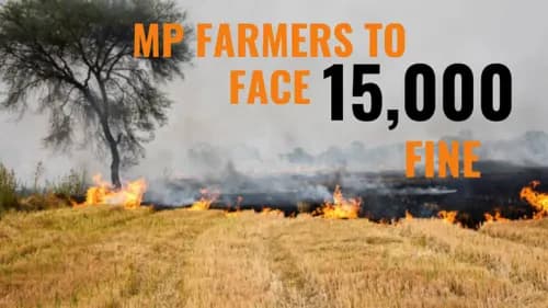 MP Farmers Facing Heavy Fine of ₹15,000 for Burning of Crop Residue MP Farmers Facing Heavy Fine of ₹15,000 for Burning of Crop Residue