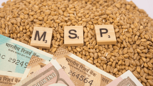 Wheat Procurement at MSP Begins in UP, Ensuring Fair Rates for Farmers Wheat Procurement at MSP Begins in UP, Ensuring Fair Rates for Farmers