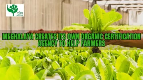Meghalaya Creates Its Own Organic Certification Agency to Help Farmers Meghalaya Creates Its Own Organic Certification Agency to Help Farmers