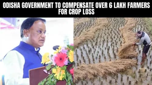 Odisha Government to Compensate Over 6 Lakh Farmers for Crop Loss Odisha Government to Compensate Over 6 Lakh Farmers for Crop Loss