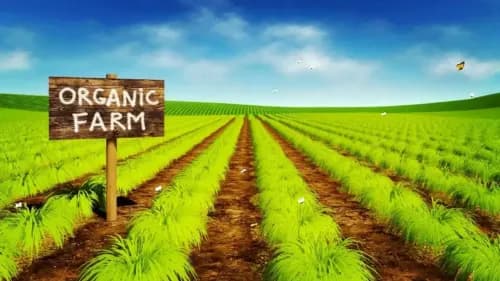 Organic Farming in India: Types, Methods, Benefits & Challenges Explained Organic Farming in India: Types, Methods, Benefits & Challenges Explained