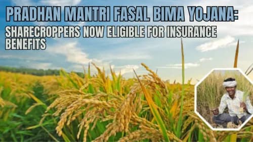 Pradhan Mantri Fasal Bima Yojana: Sharecroppers Now Eligible for Insurance Benefits Pradhan Mantri Fasal Bima Yojana: Sharecroppers Now Eligible for Insurance Benefits