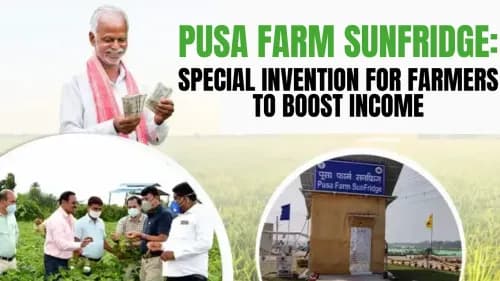 Pusa Farm Sunfridge: Special Invention for Farmers to Boost Income Pusa Farm Sunfridge: Special Invention for Farmers to Boost Income