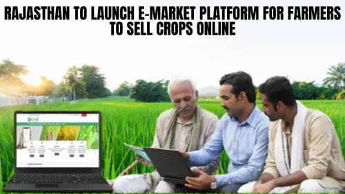 Rajasthan to Launch E-Market Platform for Farmers to Sell Crops Online Rajasthan to Launch E-Market Platform for Farmers to Sell Crops Online