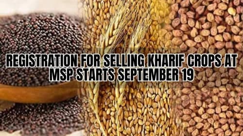 Registration for Selling Kharif Crops at MSP Starts September 19 Registration for Selling Kharif Crops at MSP Starts September 19