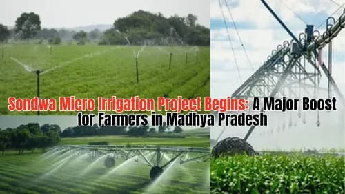 Sondwa Micro Irrigation Project Begins: A Major Boost for Farmers in Madhya Pradesh Sondwa Micro Irrigation Project Begins: A Major Boost for Farmers in Madhya Pradesh