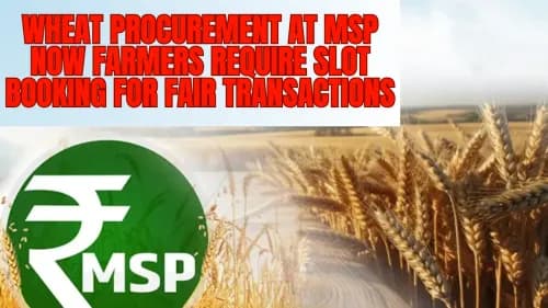 Wheat Procurement at MSP now Farmers Require Slot Booking for Fair Transactions Wheat Procurement at MSP now Farmers Require Slot Booking for Fair Transactions