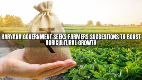 Haryana Government Seeks Farmers Suggestions to Boost Agricultural Growth Haryana Government Seeks Farmers Suggestions to Boost Agricultural Growth