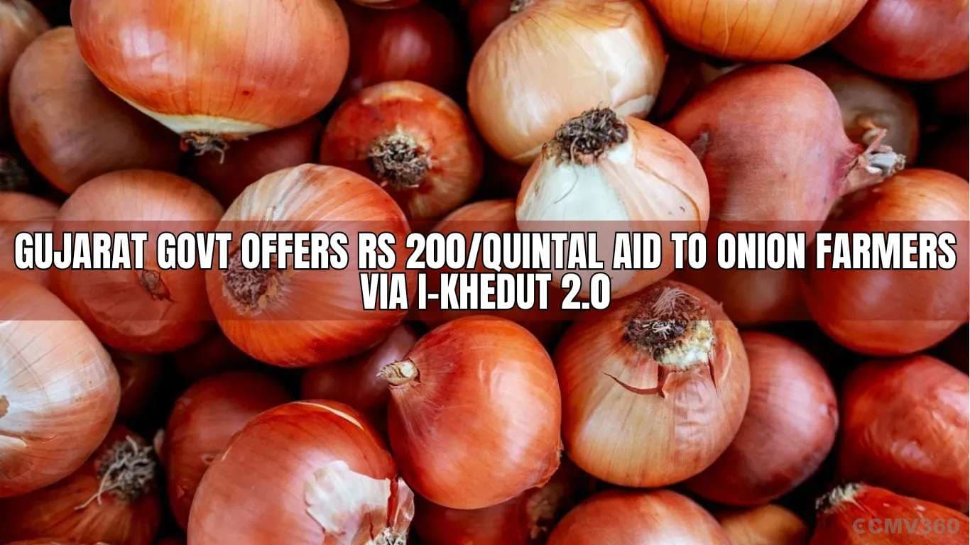 Gujarat Govt Offers Rs 200/Quintal Aid to Onion Farmers via i-Khedut 2.0 Gujarat Govt Offers Rs 200Quintal Aid to Onion Farmers via i-Khedut 2.0.webp