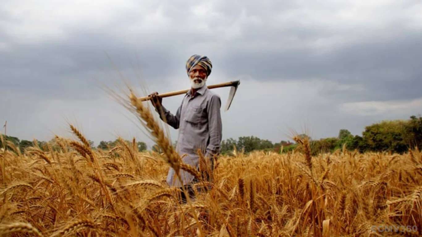 2026 MSP Trends: Highest Support Prices and Key Crop Insights for Indian Farmers 2026 MSP Trends: Highest Support Prices and Key Crop Insights for Indian Farmers
