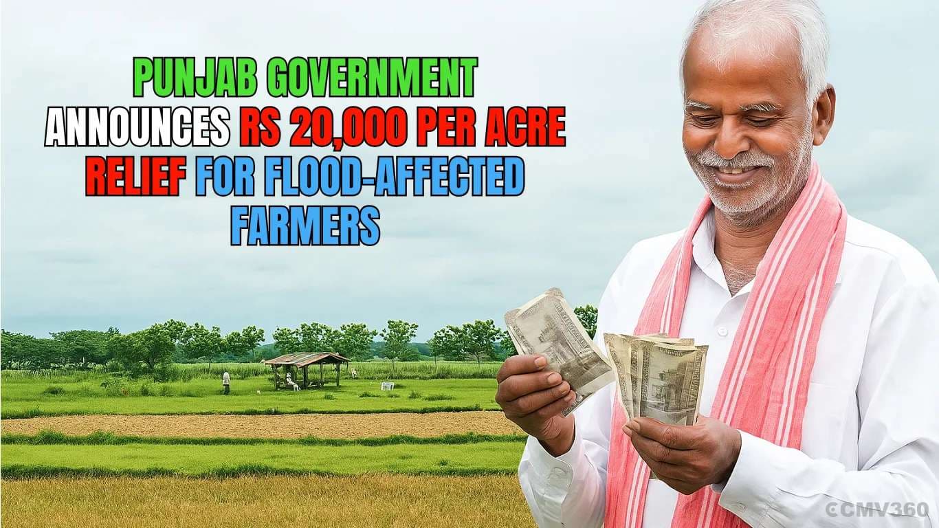 Punjab Government Announces Rs 20,000 Per Acre Relief for Flood-Affected Farmers Punjab Govt Relief for Farmer.webp