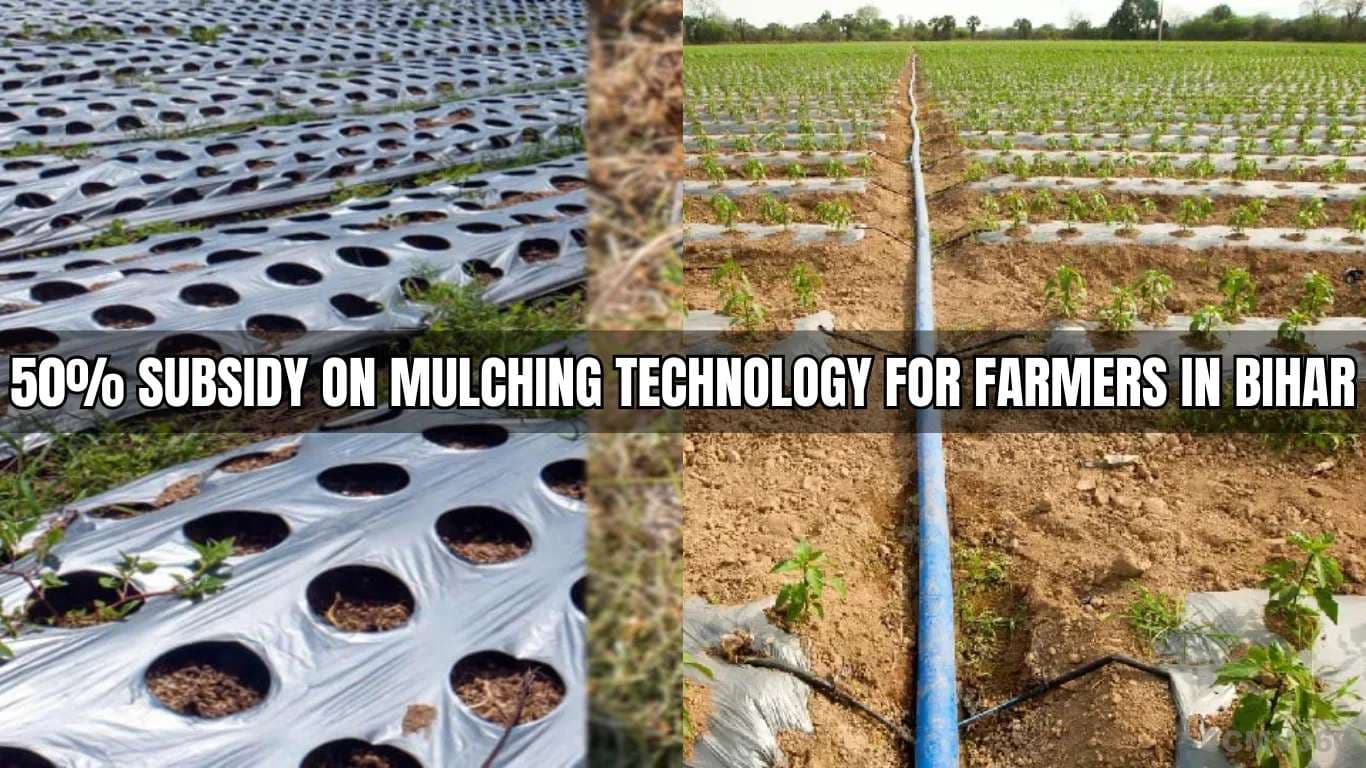 50% Subsidy on Mulching Technology for Farmers in Bihar 50% Subsidy on Mulching Technology for Farmers in Bihar.webp