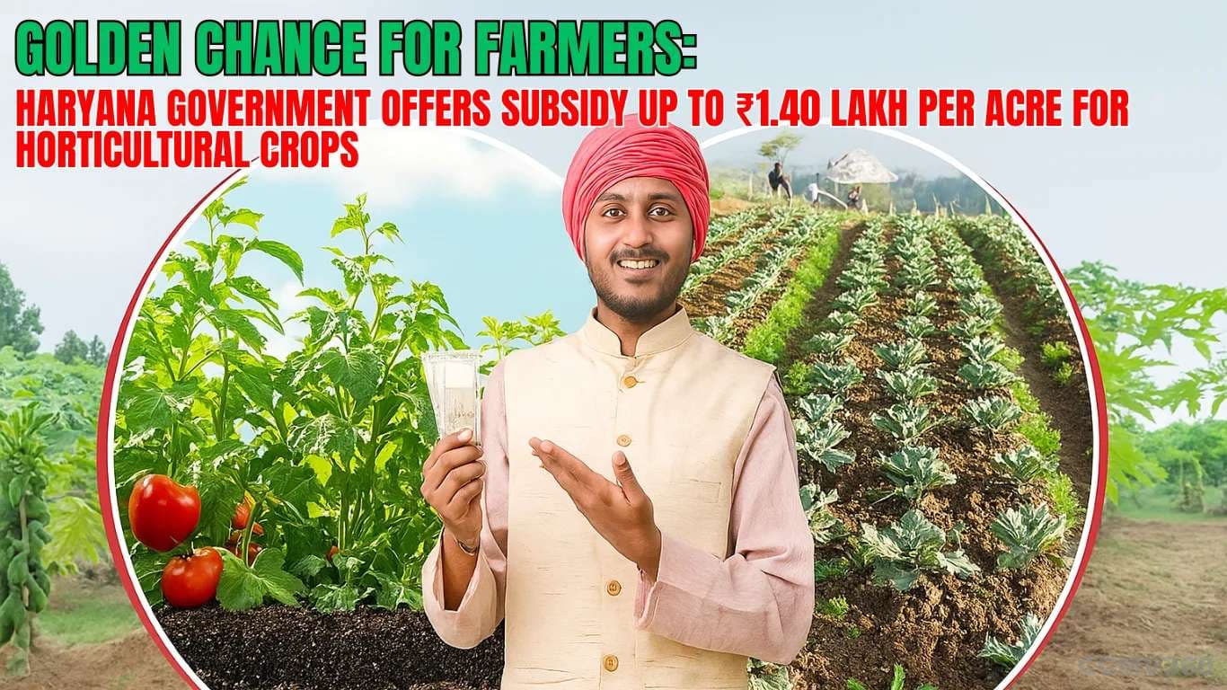 Golden Chance for Farmers: Haryana Government Offers Subsidy Up to ₹1.40 Lakh Per Acre for Horticultural Crops Golden Chance for Farmers: Haryana Government Offers Subsidy Up to ₹1.40 Lakh Per Acre for Horticultural Crops
