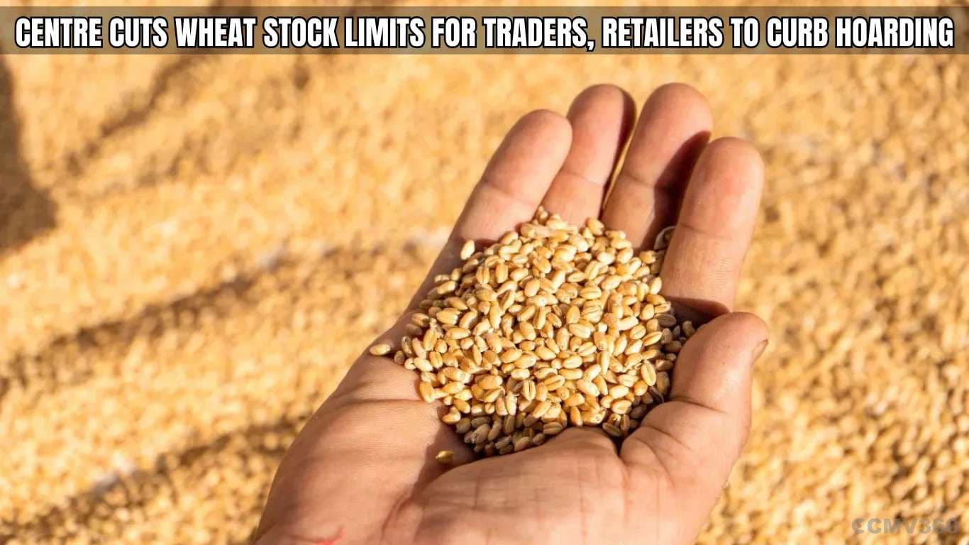 Centre Cuts Wheat Stock Limits for Traders, Retailers to Curb Hoarding: Government Revises Wheat Stock Norms Ahead of Festive Season Govt Revises Wheat Stock Norms Ahead of Festive Season.webp