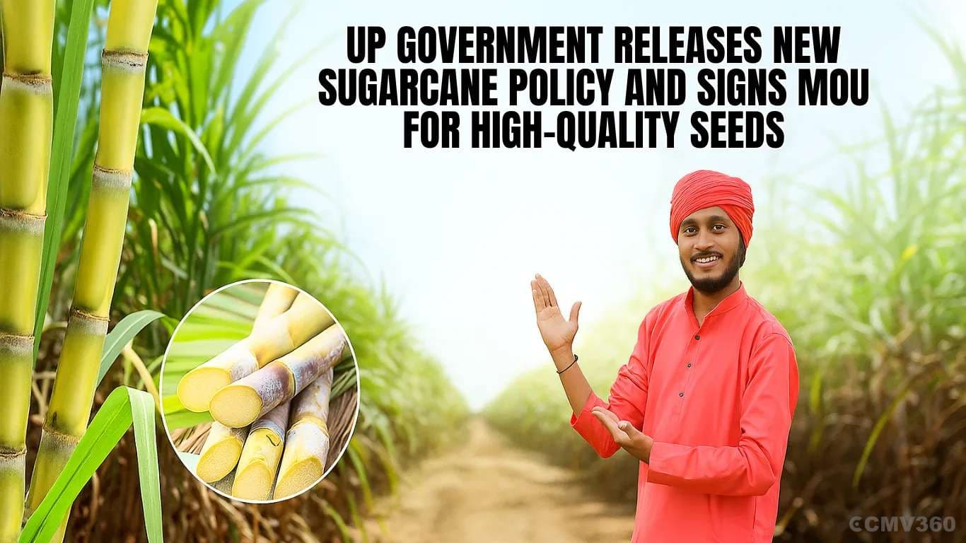 UP Government Releases New Sugarcane Policy and Signs MoU for High-Quality Seeds UP Govt Sugarcane.webp