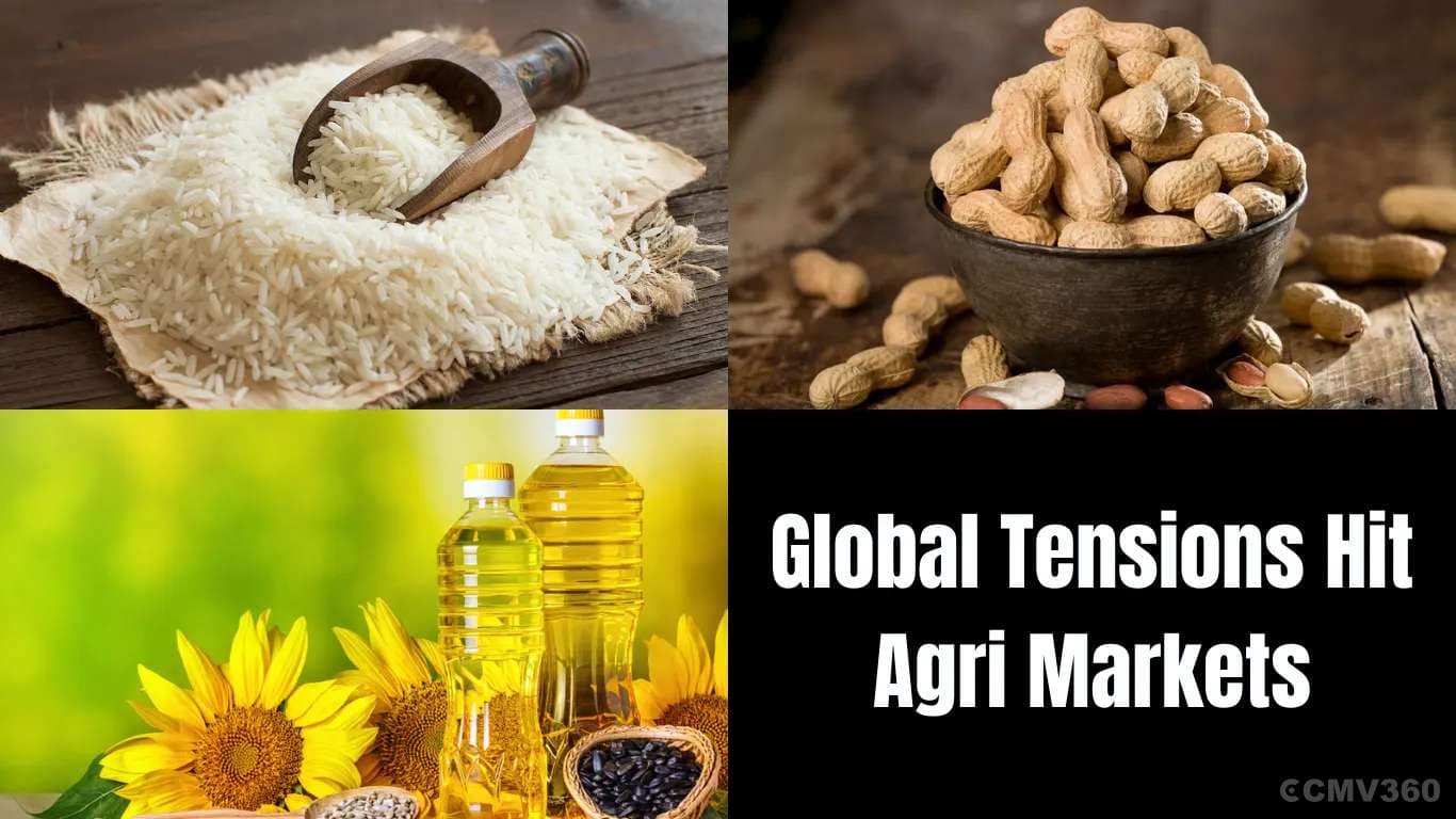 Global Tensions Hit Agri Markets: Basmati Prices Fall, Peanut & Edible Oil Demand Weak, Delhi Mandi Remains Soft Global Tensions Hit Agri Markets: Basmati Prices Fall, Peanut & Edible Oil Demand Weak, Delhi Mandi Remains Soft