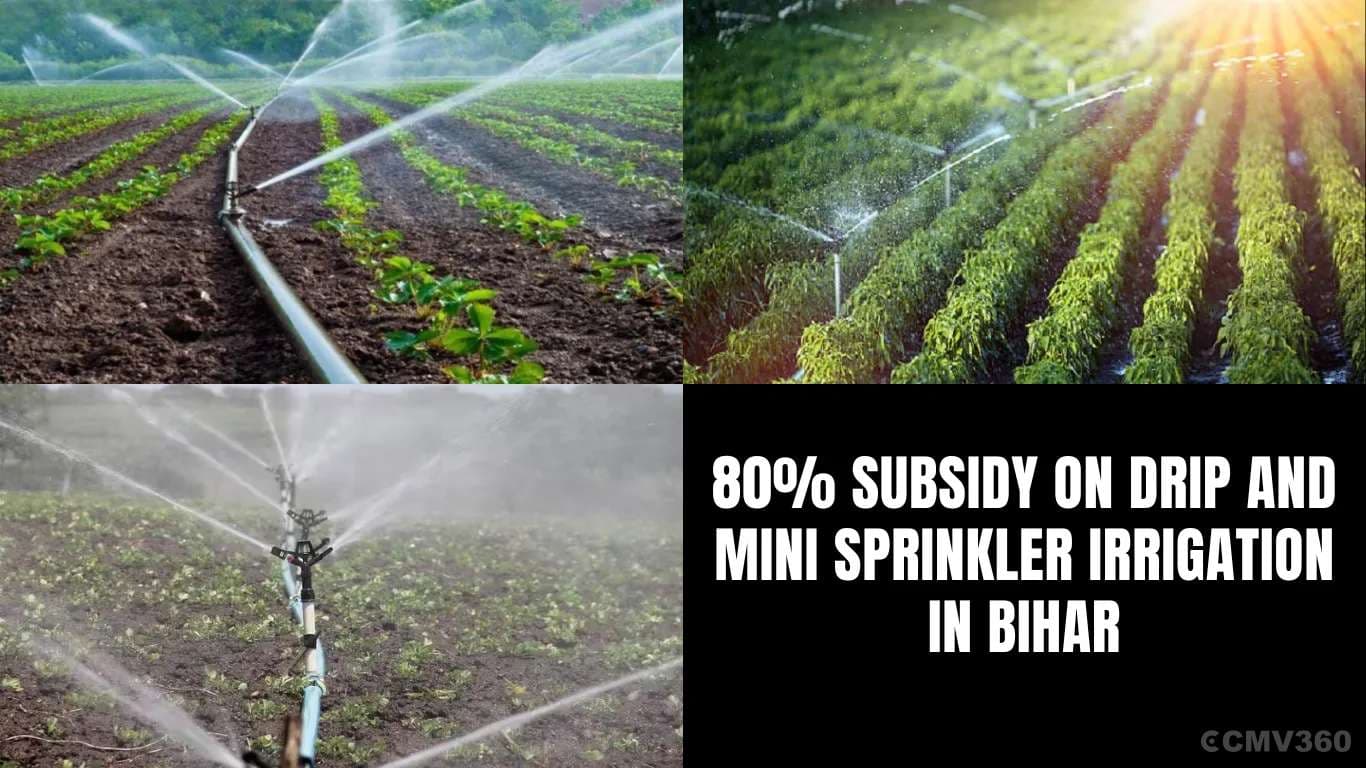 80% Subsidy on Drip and Mini Sprinkler Irrigation in Bihar 80% Subsidy on Drip and Mini Sprinkler Irrigation in Bihar.webp