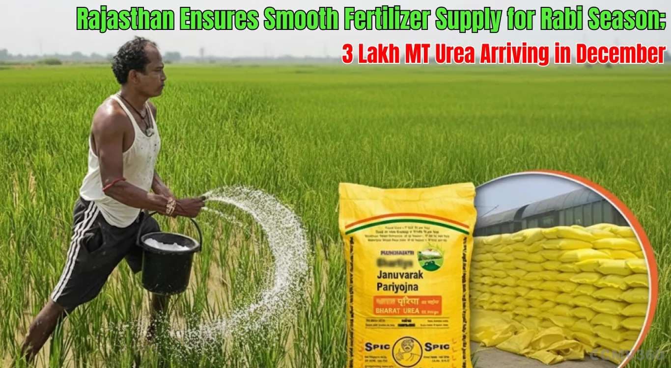 Rajasthan Ensures Smooth Fertilizer Supply for Rabi Season; 3 Lakh MT Urea Arriving in December Rajasthan Ensures Smooth Fertilizer Supply for Rabi Season; 3 Lakh MT Urea Arriving in December
