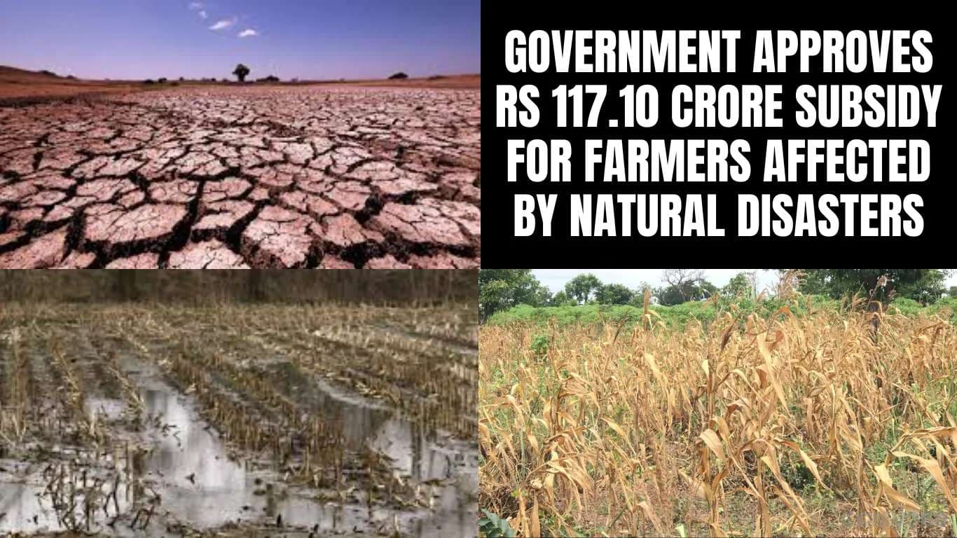 Government Approves Rs 117.10 Crore Subsidy for Farmers Affected by Natural Disasters Government Approves Rs 117.10 Crore Subsidy for Farmers Affected by Natural Disasters.webp