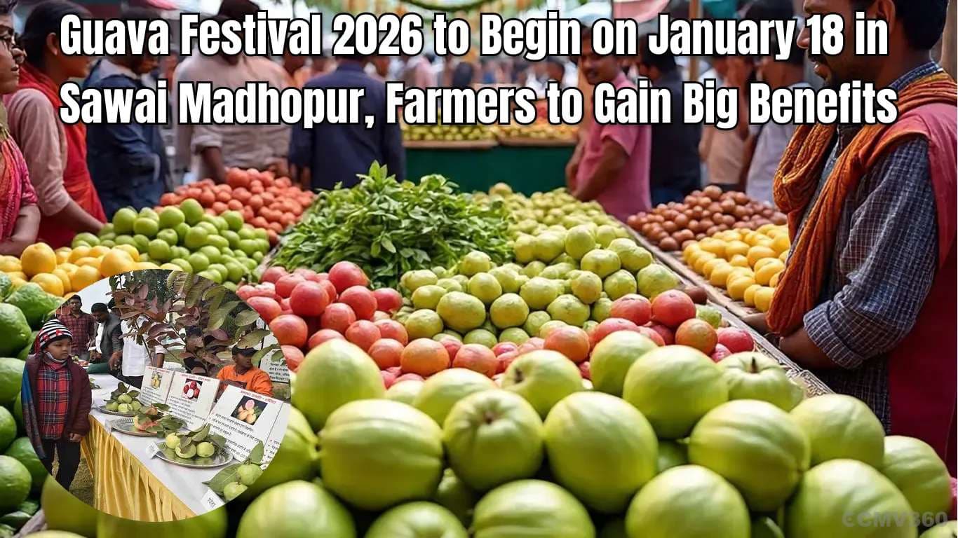 Guava Festival 2026 to Begin on January 18 in Sawai Madhopur, Farmers to Gain Big Benefits Guava Festival 2026 to Begin on January 18 in Sawai Madhopur, Farmers to Gain Big Benefits