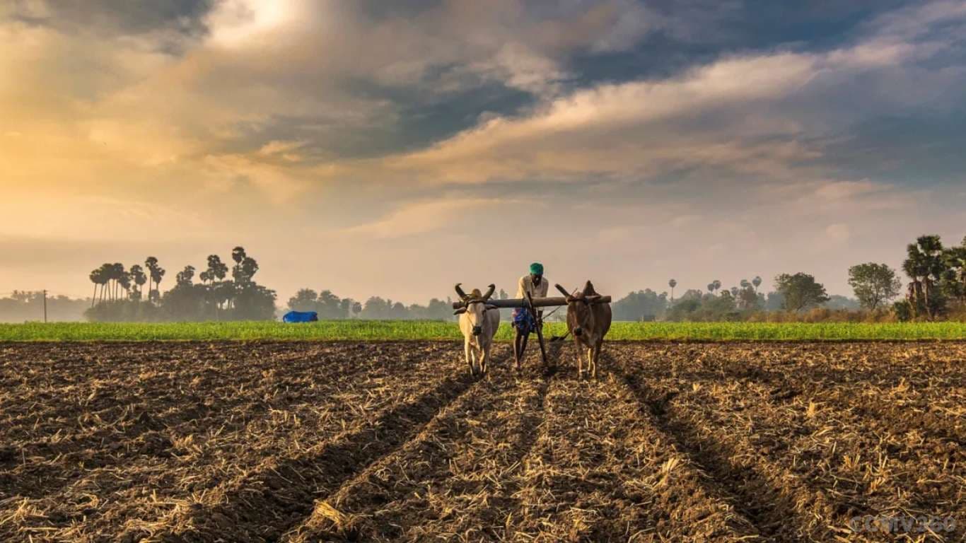 Government Reports Doubling of Farmers’ Income Amid Ongoing Debate in Lok Sabha Government Reports Doubling of Farmers’ Income Amid Ongoing Debate in Lok Sabha