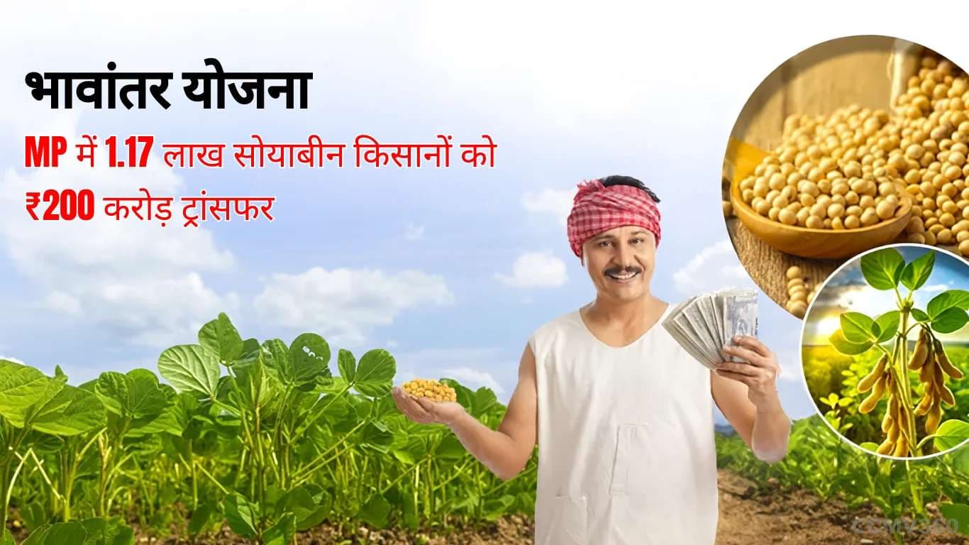 Bhavantar Yojana: ₹200 Crore Transferred to 1.17 Lakh Soybean Farmers in Madhya Pradesh Bhavantar Yojana: ₹200 Cr Aid to 1.17 Lakh MP Farmers