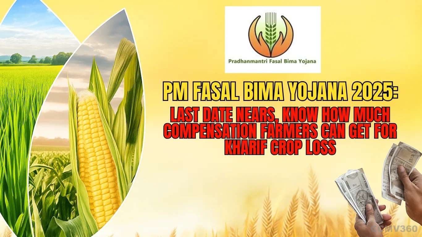 PM Fasal Bima Yojana 2025: Last Date Nears, Know How Much Compensation Farmers Can Get for Kharif Crop Loss PM Fasal Bima Yojana 2025.webp