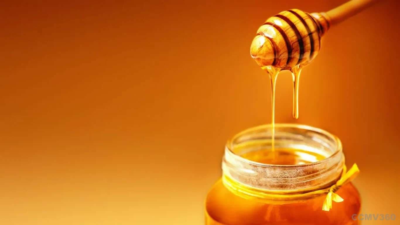 Government Extends Minimum Import Price on Natural Honey Till December 2026 Honey Import MIP Extended Till December 2026 by the Govt
