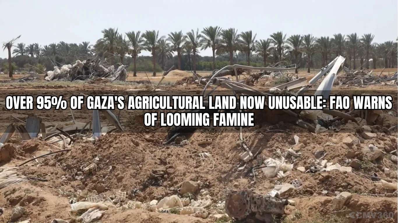 Over 95% of Gaza's Agricultural Land Now Unusable: FAO Warns of Looming Famine Over 95% of Gaza's Agricultural Land Now Unusable FAO Warns of Looming Famine.webp