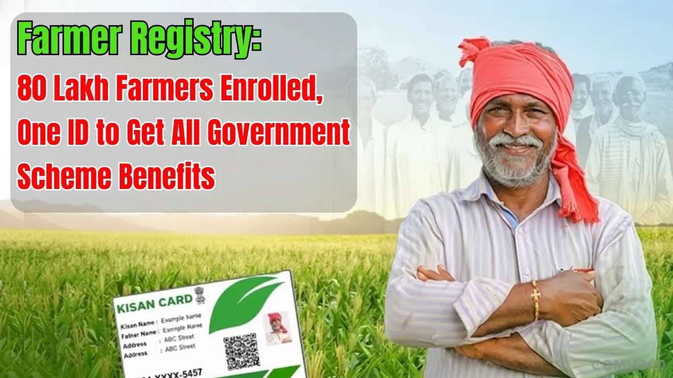 Farmer Registry: 80 Lakh Farmers Enrolled, One ID to Get All Government Scheme Benefits Farmer Registry: 80 Lakh Farmers Enrolled, One ID to Get All Government Scheme Benefits