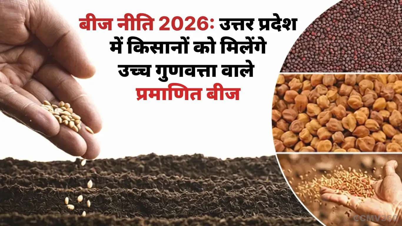 Seed Policy 2026: Uttar Pradesh to Ensure High-Yielding Certified Seeds for Farmers बीज नीति 2026: उत्तर प्रदेश में किसानों को मिलेंगे उच्च गुणवत्ता वाले प्रमाणित बीज