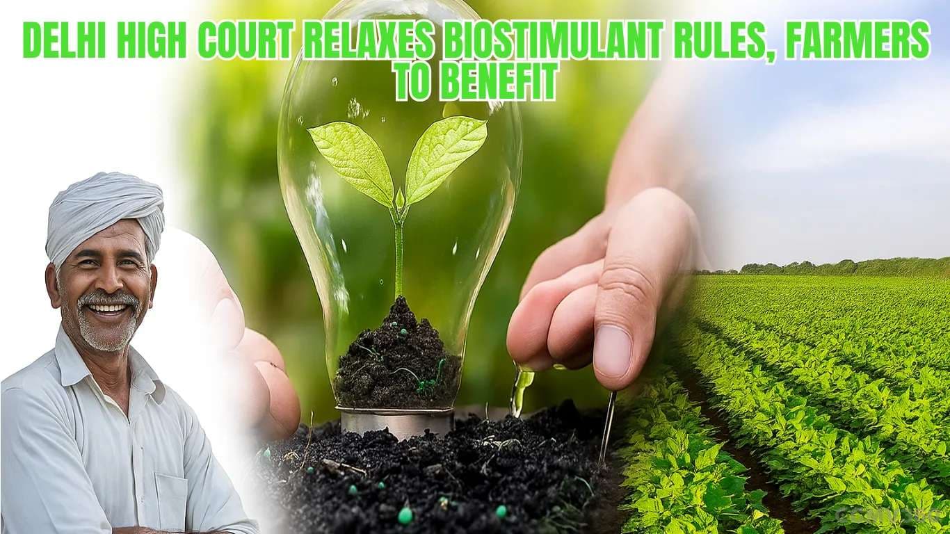 Delhi High Court Relaxes Biostimulant Rules, Farmers to Benefit Delhi High Court Relaxes Biostimulant Rules.webp