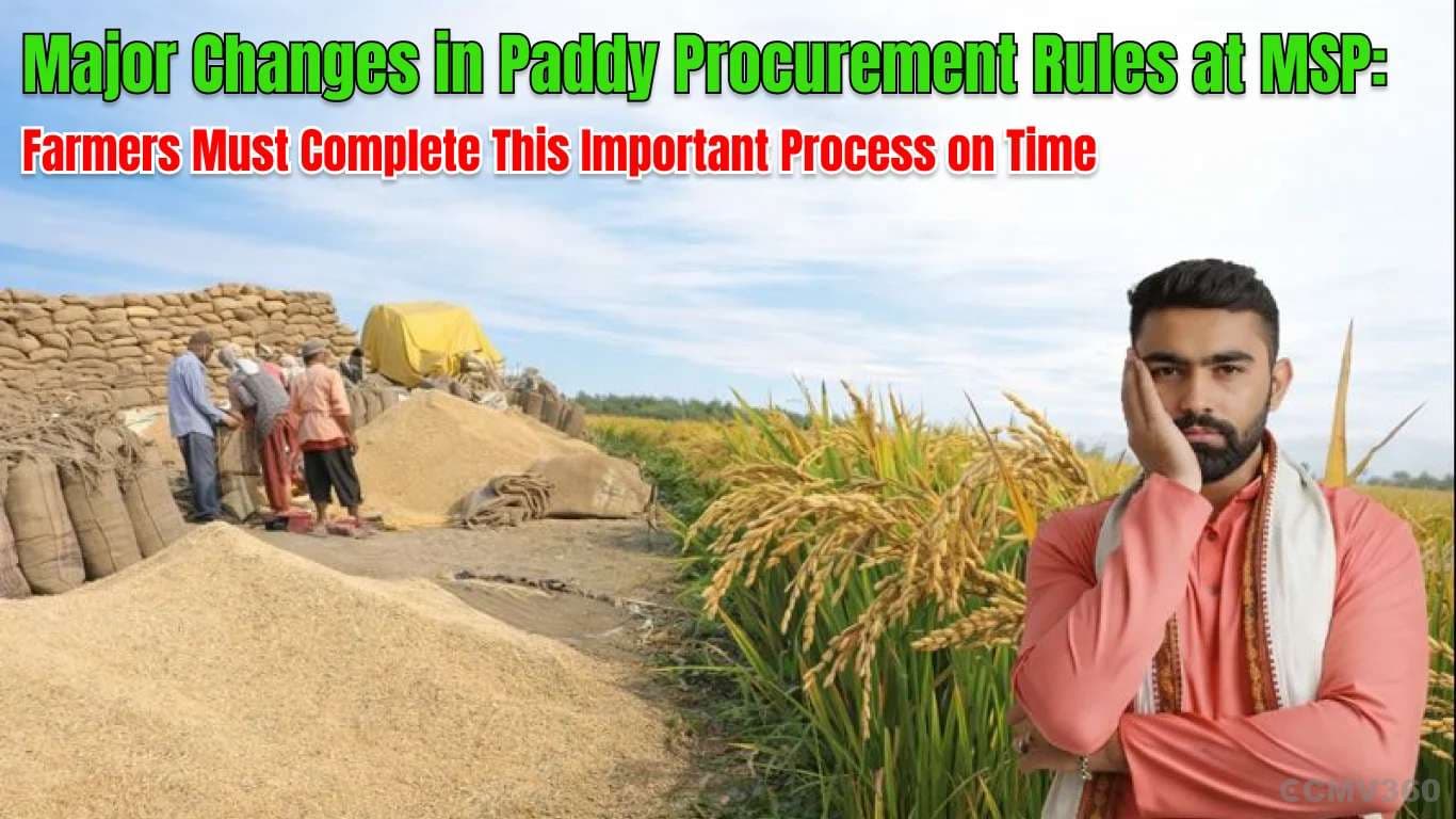 Major Changes in Paddy Procurement Rules at MSP: Farmers Must Complete This Important Process on Time Major Changes in Paddy Procurement Rules at MSP: Farmers Must Complete This Important Process on Time