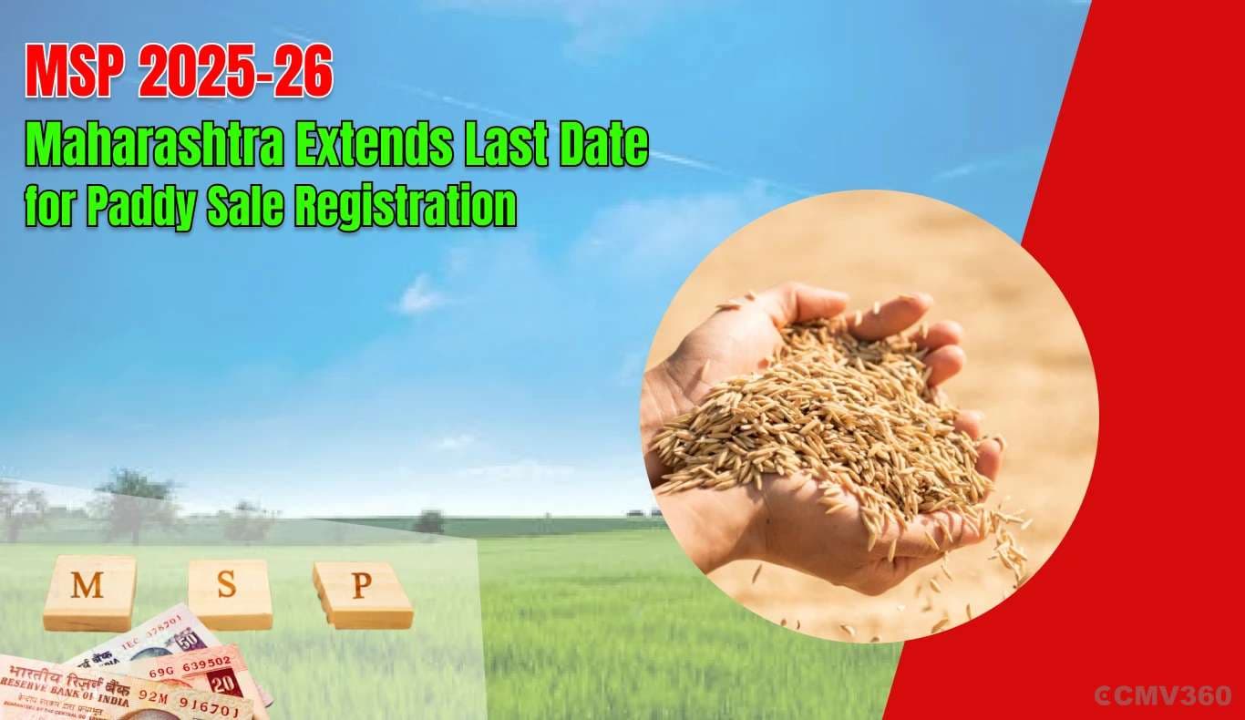 MSP 2025-26: Maharashtra Extends Last Date for Paddy Sale Registration MSP 2025-26: Maharashtra Extends Paddy Sale Deadline