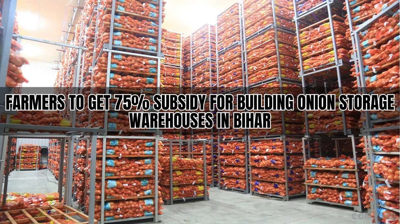Farmers to Get 75% Subsidy for Building Onion Storage Warehouses in Bihar Farmers to Get 75% Subsidy for Building Onion Storage Warehouses in Bihar.webp