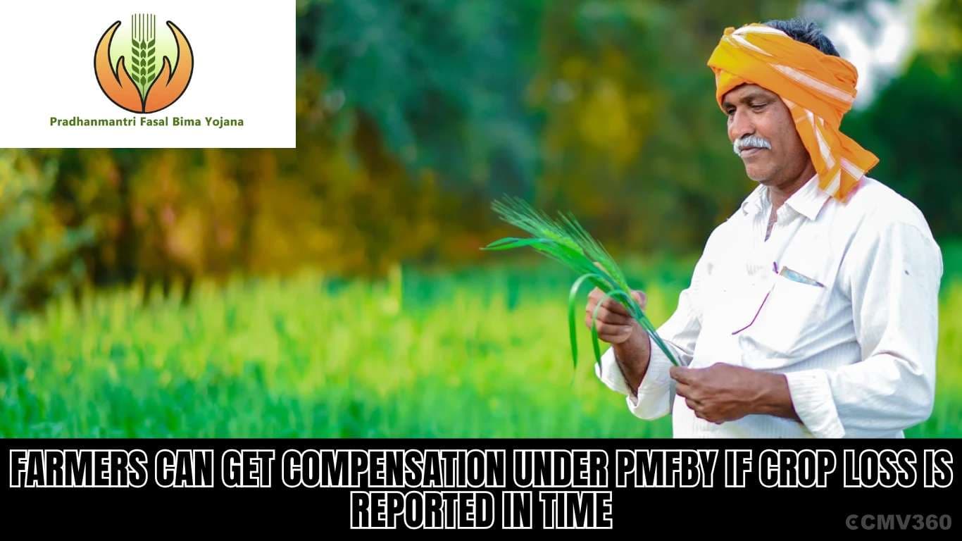 Farmers Can Get Compensation Under PMFBY If Crop Loss Is Reported in Time Farmers Can Get Compensation Under PMFBY If Crop Loss Is Reported in Time.webp