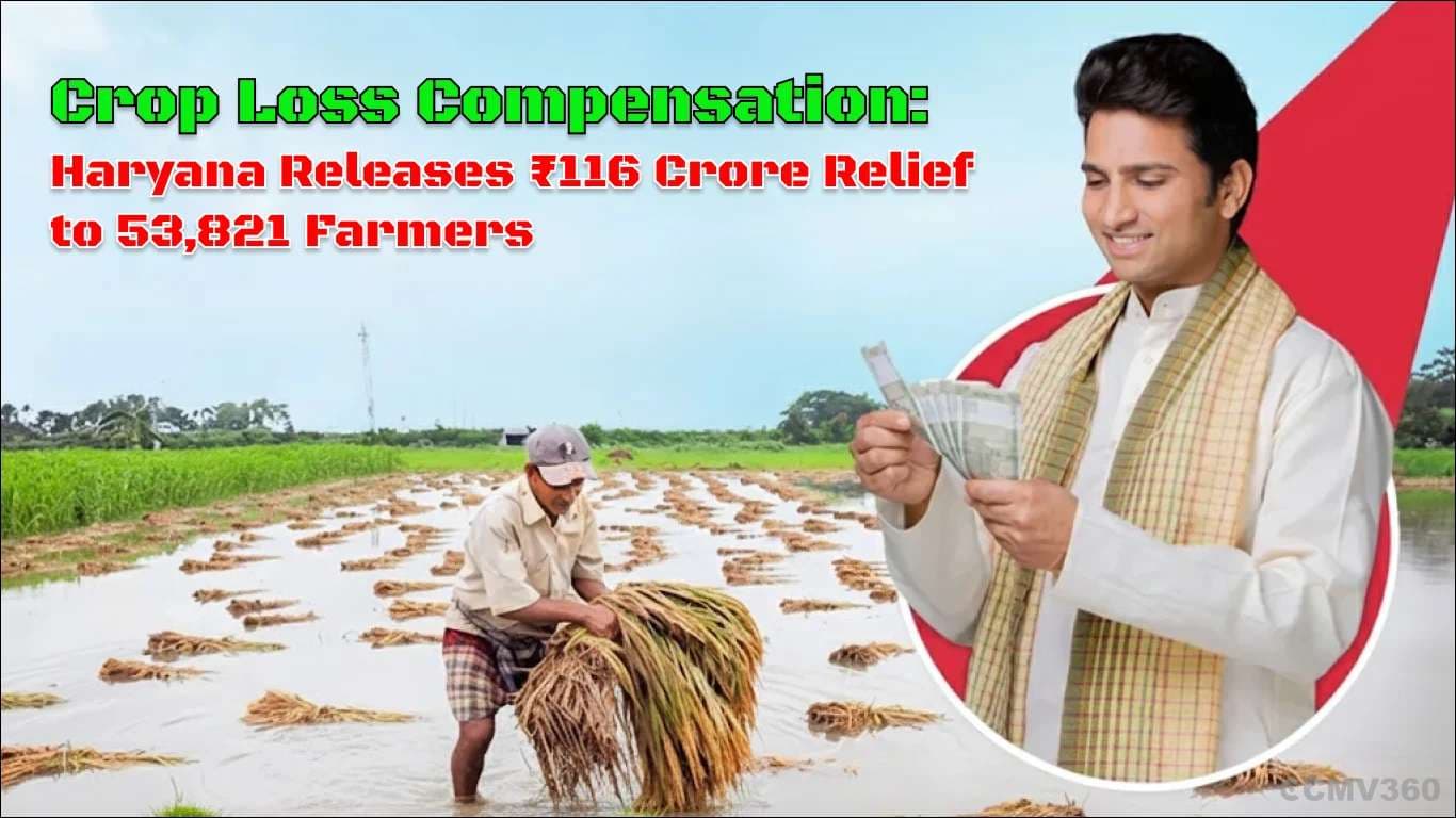 Crop Loss Compensation: Haryana Releases ₹116 Crore Relief to 53,821 Farmers Crop Loss Compensation: Haryana Releases ₹116 Crore Relief to 53,821 Farmers