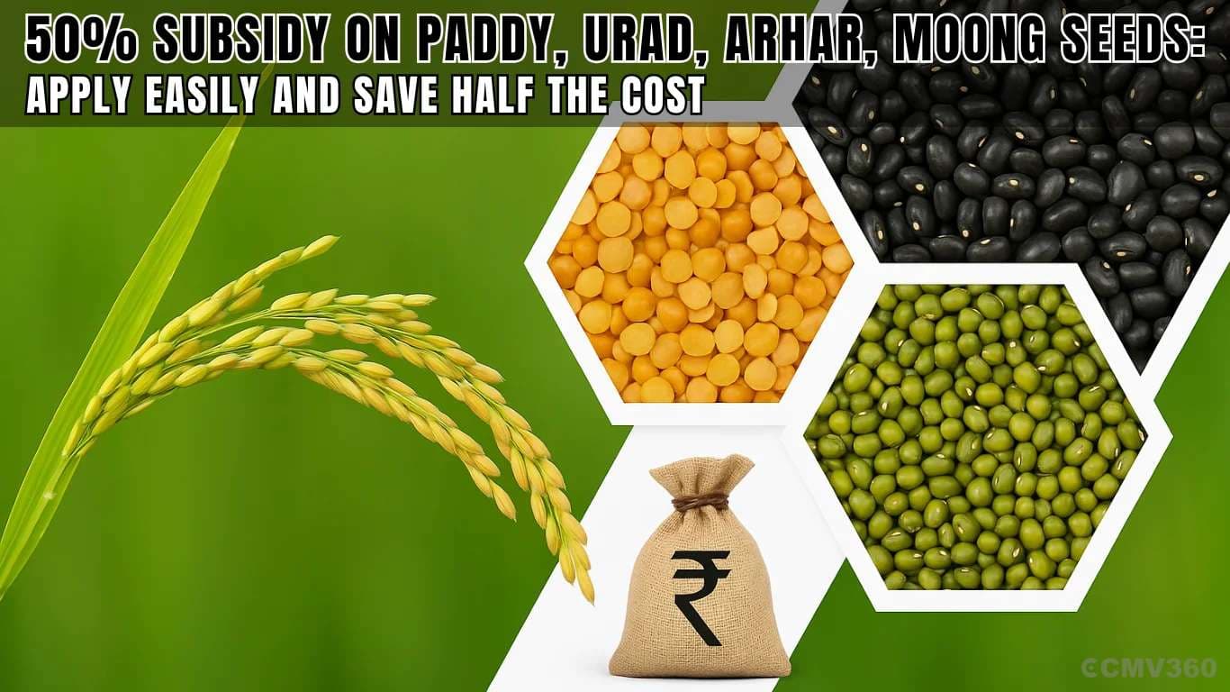 50% Subsidy on Paddy, Urad, Arhar, Moong Seeds: Apply Easily and Save Half the Cost 50% Subsidy on Paddy, Urad, Arhar, Moong Seeds.webp