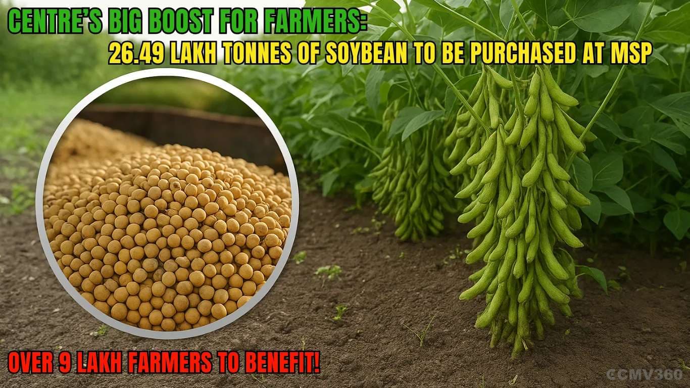 Centre’s Big Boost for Farmers: 26.49 Lakh Tonnes of Soybean to Be Purchased at MSP – Over 9 Lakh Farmers to Benefit! Centre’s Big Boost for Farmers: 26.49 Lakh Tonnes of Soybean to Be Purchased at MSP – Over 9 Lakh Farmers to Benefit!