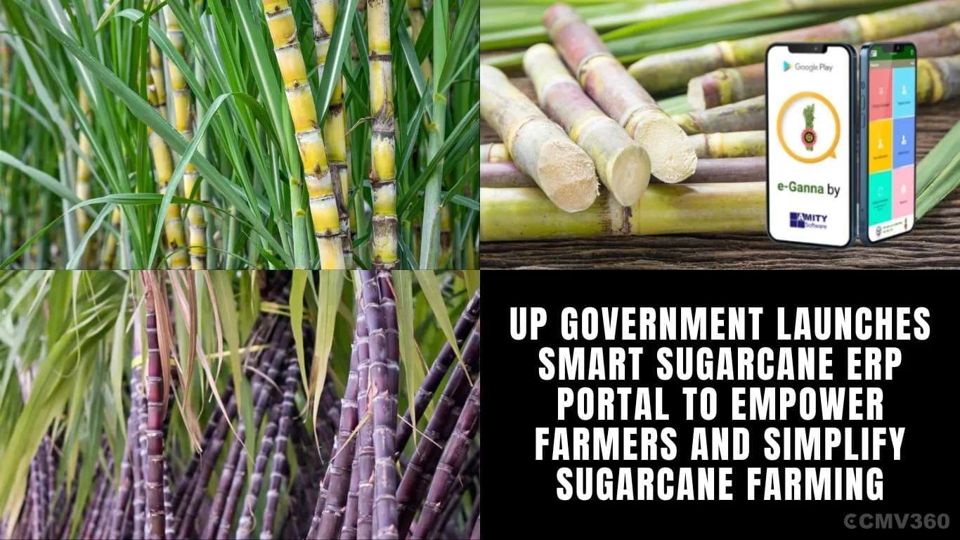 UP Government Launches Smart Sugarcane ERP Portal to Empower Farmers and Simplify Sugarcane Farming UP Government Launches Smart Sugarcane ERP Portal to Empower Farmers and Simplify Sugarcane Farming.webp