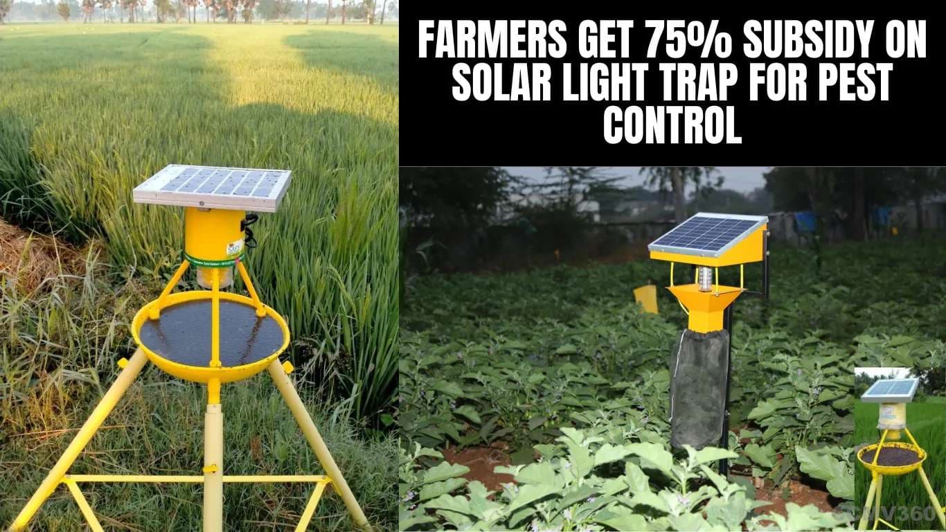 Farmers Get 75% Subsidy on Solar Light Trap for Pest Control Farmers Get 75% Subsidy on Solar Light Trap for Pest Control.webp