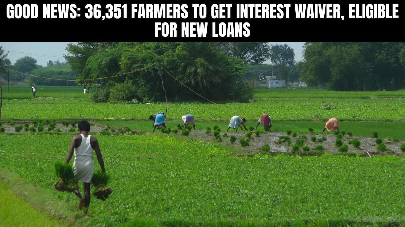 Good News: 36,351 Farmers to Get Interest Waiver, Eligible for New Loans Good News 36,351 Farmers to Get Interest Waiver, Eligible for New Loans.webp