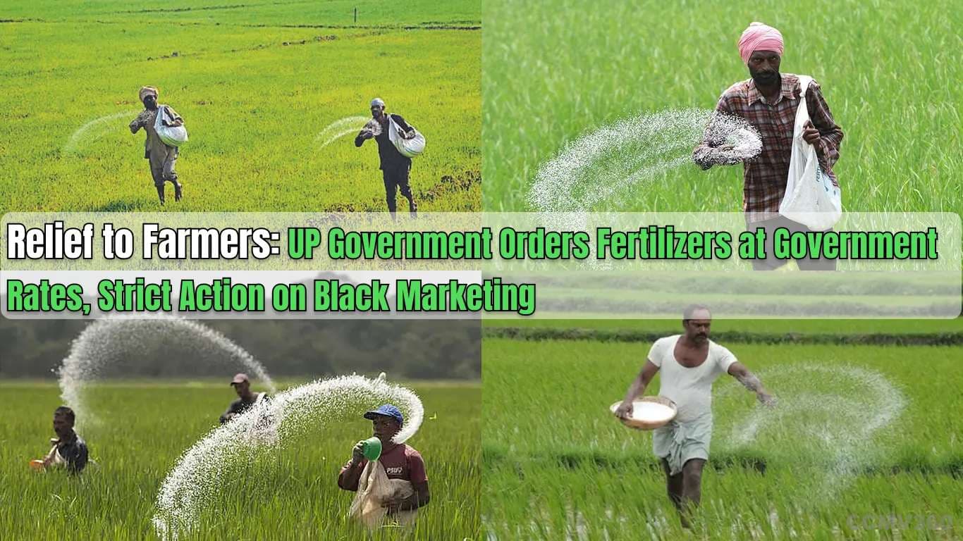 Relief to Farmers: UP Government Orders Fertilizers at Government Rates, Strict Action on Black Marketing Relief to Farmers: UP Government Orders Fertilizers at Government Rates, Strict Action on Black Marketing