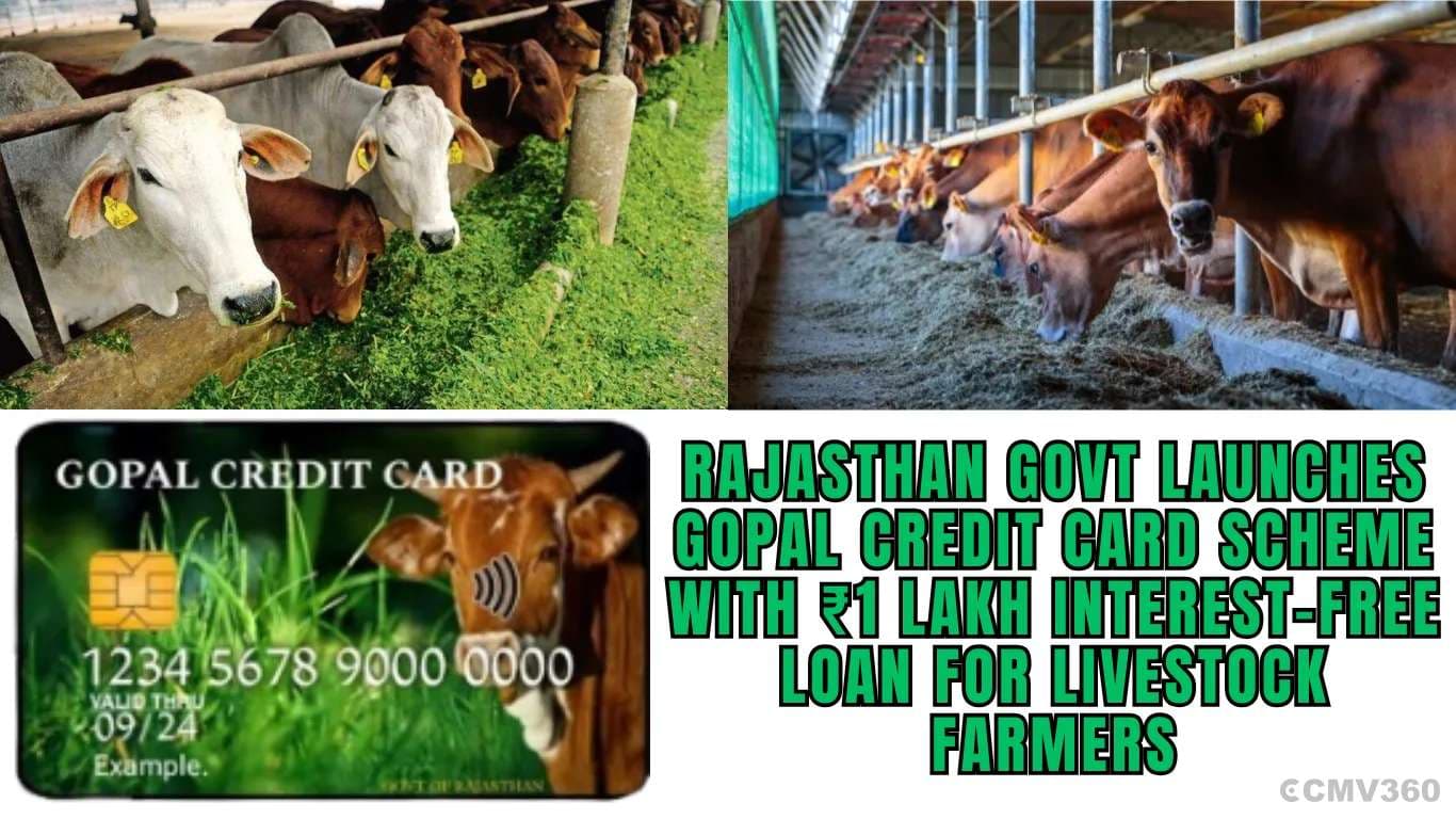 Rajasthan Govt Launches Gopal Credit Card Scheme with ₹1 Lakh Interest-Free Loan for Livestock Farmers Rajasthan Govt Launches Gopal Credit Card Scheme with â¹1 Lakh Interest-Free Loan for Livestock Farmers.webp
