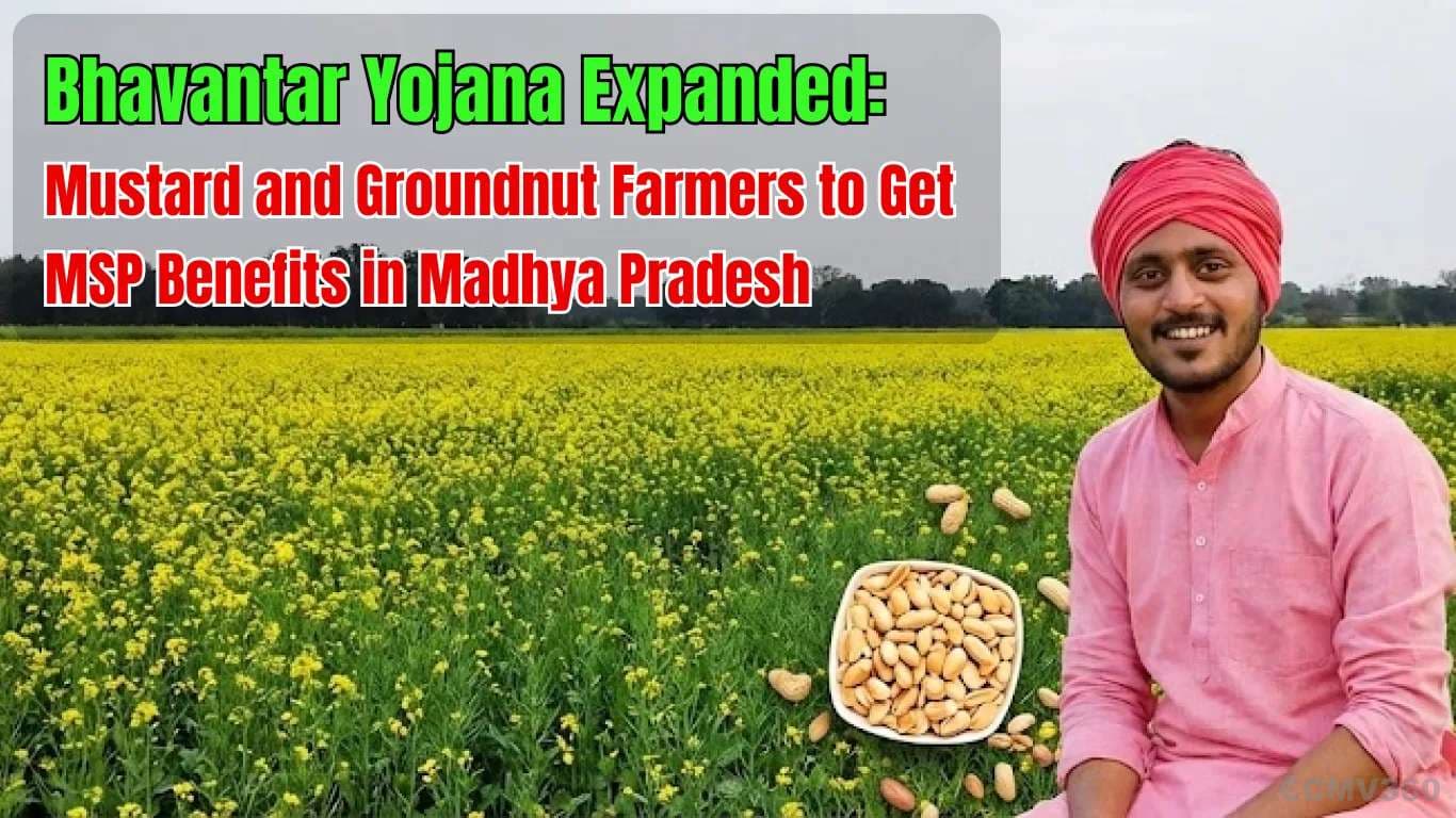 Bhavantar Yojana Expanded: Mustard and Groundnut Farmers to Get MSP Benefits in Madhya Pradesh Bhavantar Yojana Expanded: Mustard and Groundnut Farmers to Get MSP Benefits in Madhya Pradesh